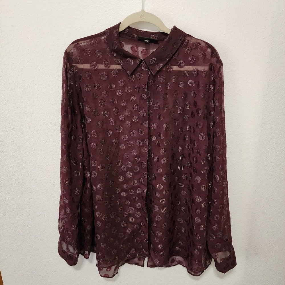 Sheer Blouse